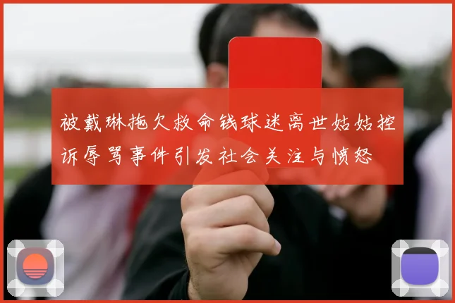 被戴琳拖欠救命钱球迷离世姑姑控诉辱骂事件引发社会关注与愤怒